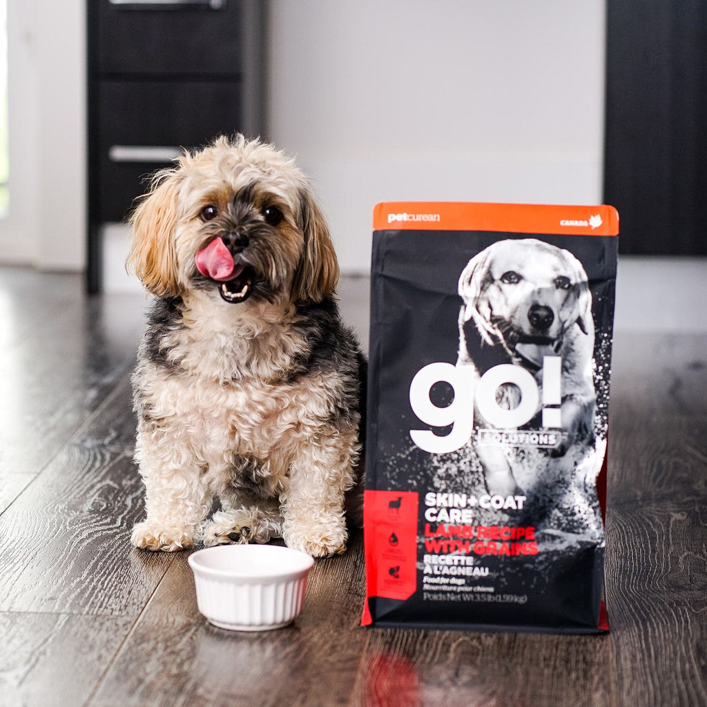 GO! SKIN + COAT CARE Lamb Recipe With Grains for Dogs