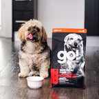 GO! SKIN + COAT CARE Lamb Recipe With Grains for Dogs