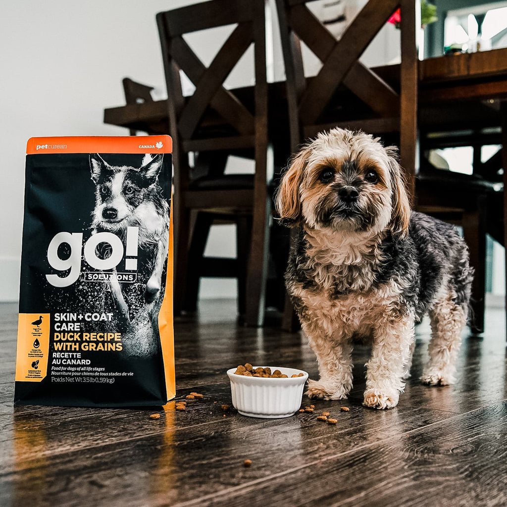 GO! SKIN + COAT CARE Duck Recipe With Grains for Dogs