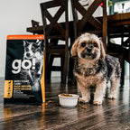GO! SKIN + COAT CARE Duck Recipe With Grains for Dogs