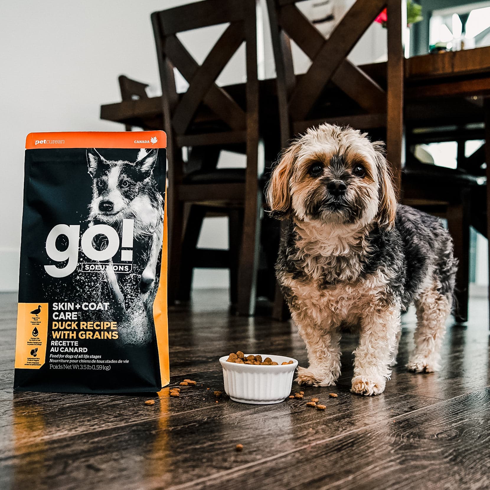 GO! SKIN + COAT CARE Duck Recipe With Grains for Dogs