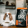 GO! SKIN + COAT CARE Salmon Recipe With Grains for Dogs