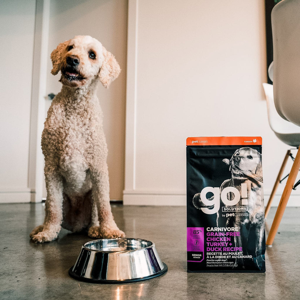 GO! CARNIVORE Grain Free Chicken, Turkey + Duck Senior Recipe for Dogs 