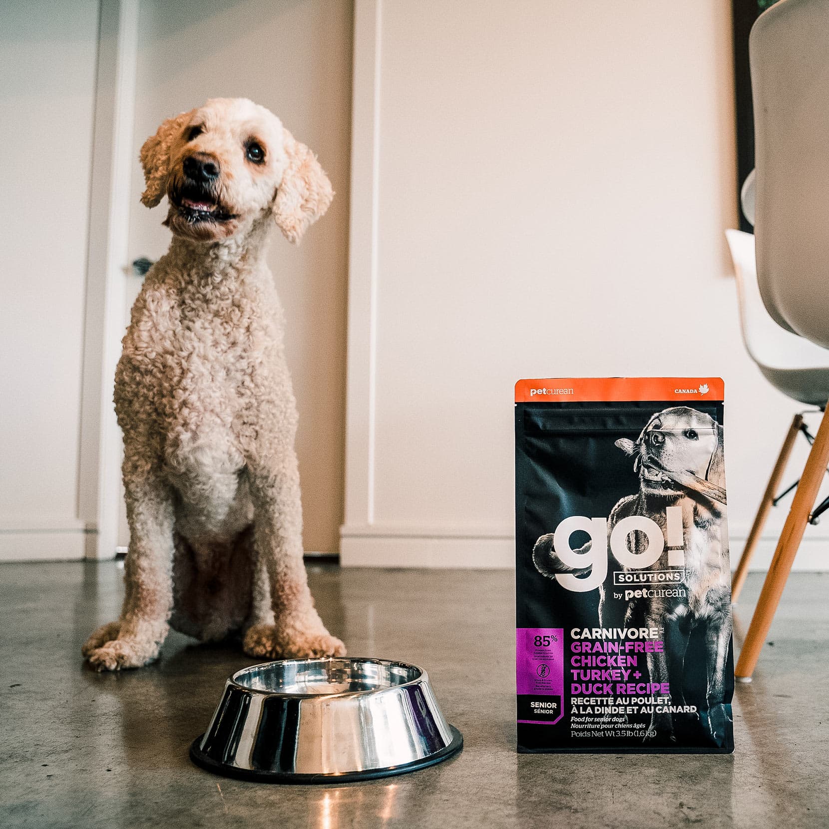 GO! CARNIVORE Grain Free Chicken, Turkey + Duck Senior Recipe for Dogs 