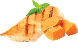 Tapa Tender Chicken Breast & Pumpkin Cat Food Recipe in Wholesome Broth