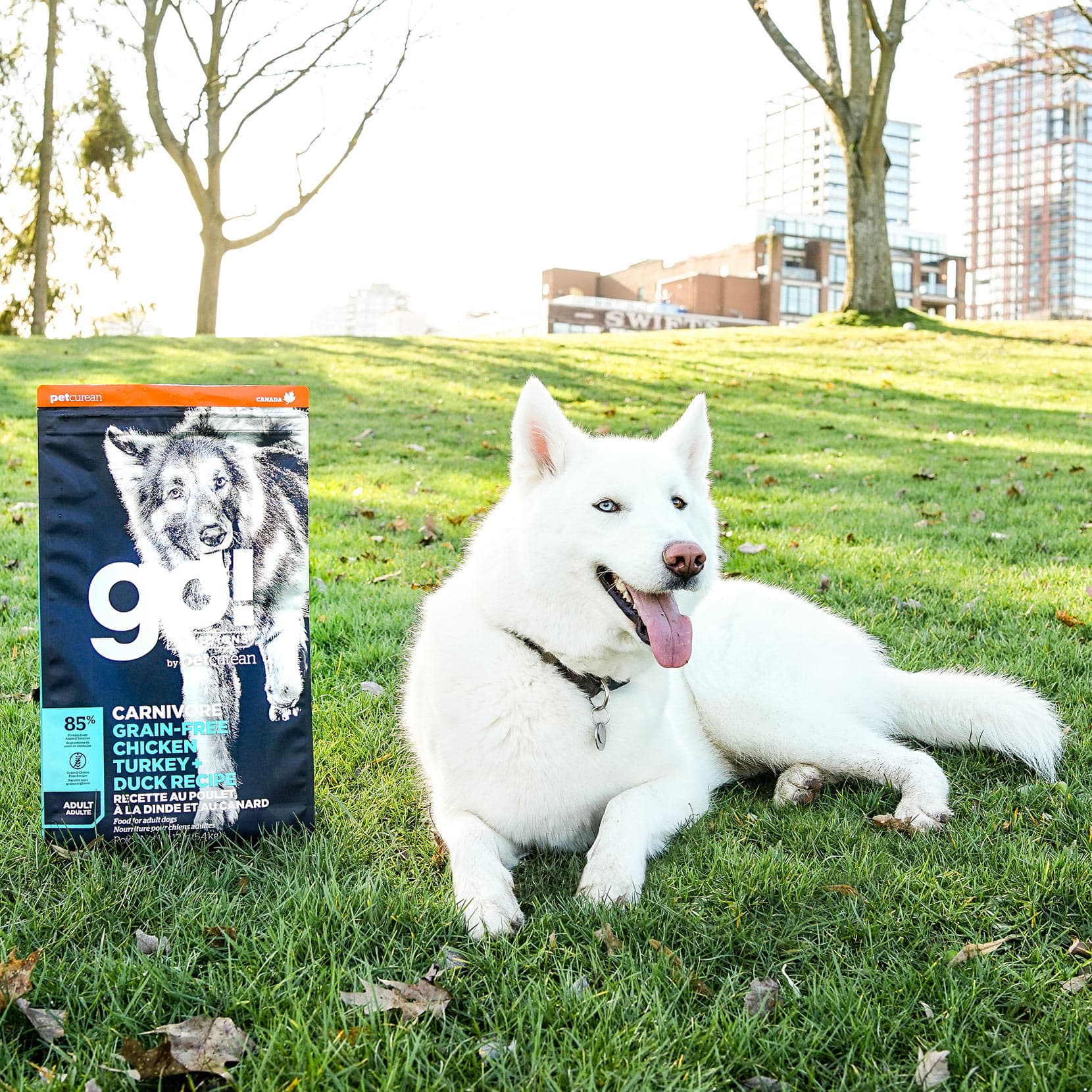 GO! CARNIVORE Grain Free Chicken, Turkey + Duck Adult Recipe for Dogs 