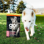 GO! CARNIVORE Grain Free Salmon + Cod Recipe for Dogs 